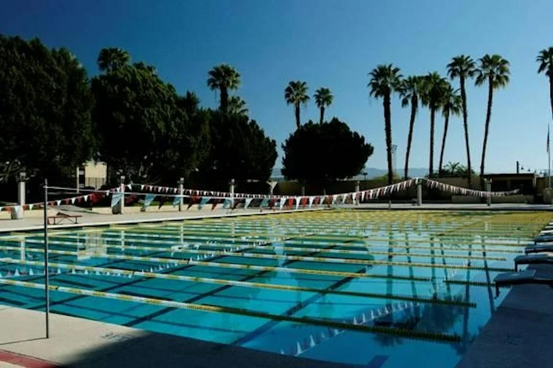 The lap lanes at the Palm Springs Swim Center in Sunrise Park, palms along the far end